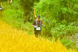 BIB: 
                            <button type="button" onclick="openModal(13456283)" class="btn btn-primary btn-sm float-right btn-popup" data-toggle="modal" data-target=".modal-high-quality">
                        <i class="fas fa-shopping-cart"></i> Add to Cart
                    </button>
                                            <button type="button" onclick="isThisMe(13456283, true)" class="btn btn-success btn-sm float-right btn-popup btn-isme hidden" data-toggle="tooltip" data-placement="bottom" title="นี่คือรูปของคุณใช่ไหม คลิกที่นี่เพื่อเอาเข้าอัลบั้ม">
                        <i class="fas fa-plus"></i> Add to album
                    </button>
                    <button type="button" onclick="isThisMe(13456283, false)" class="btn btn-warning btn-sm float-right btn-popup btn-isnotme hidden">
                        <i class="fas fa-ban"></i> Remove from album
                    </button>